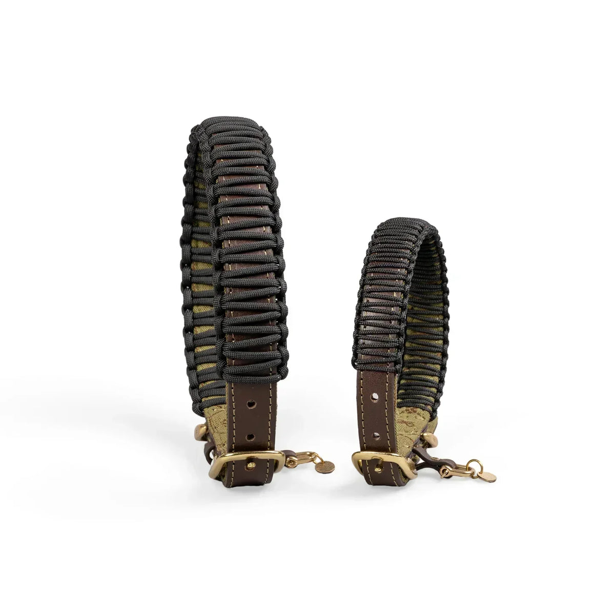 Best Minimalist & Modern Leather Dog Collars for City Walking