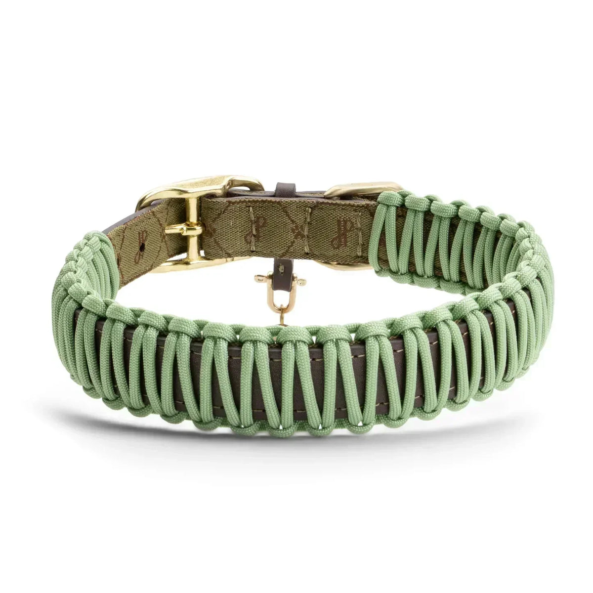 How to Measure for a Dog Collar: The Ultimate Sizing Guide for Every Breed