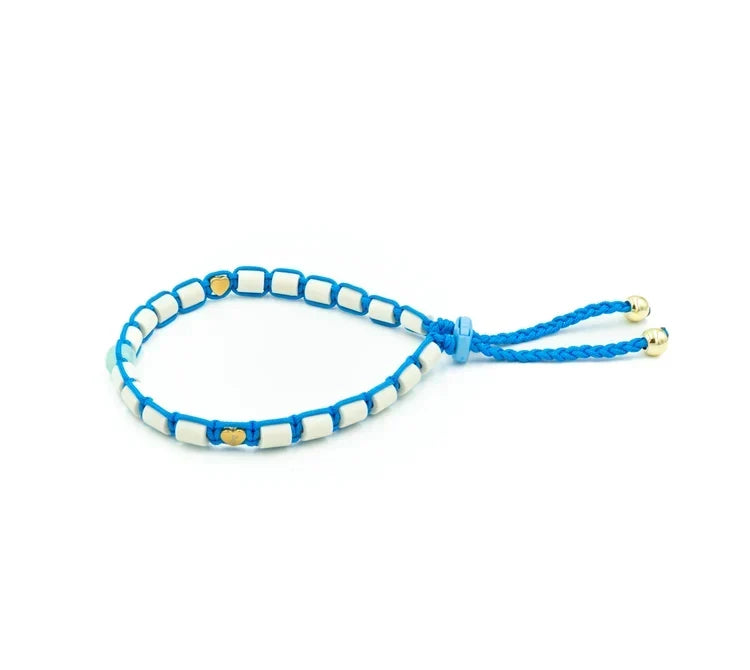 EM Ceramic Collars vs. Traditional Tick Prevention: Which Is Best for Your Dog?