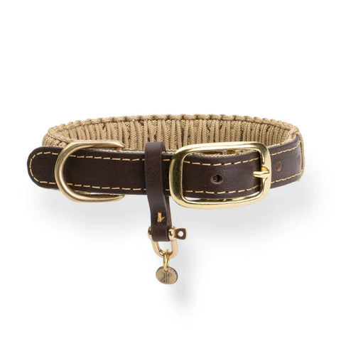 Dog Collar
